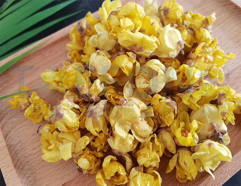 臘梅花凍干，食品凍干機(jī)應(yīng)用于臘梅花凍干案例