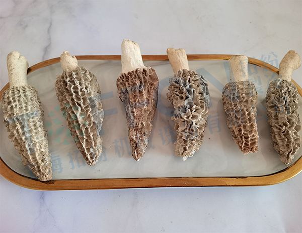 16782421301978.jpg 拓紛2.jpg