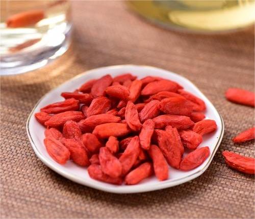 枸杞凍干，食品真空冷凍干燥機(jī)應(yīng)用于枸杞凍干