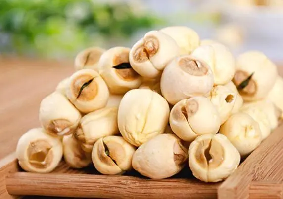 冷凍干燥機|凍干機|真空冷凍干燥機|大型冷凍干燥機|食品凍干機|制藥真空冷凍干燥機|食品凍干設(shè)備|制藥冷凍干燥機