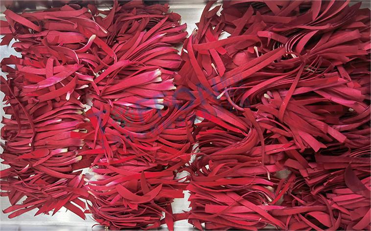 冷凍干燥機|凍干機|真空冷凍干燥機|大型冷凍干燥機|食品凍干機|制藥真空冷凍干燥機|食品凍干設備|制藥冷凍干燥機