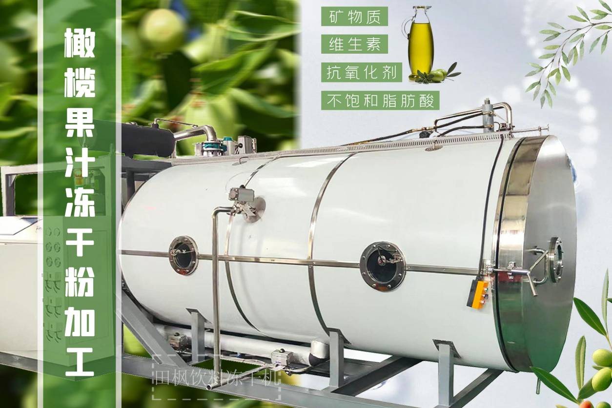 17255027367249.jpg 17255027367249.jpg