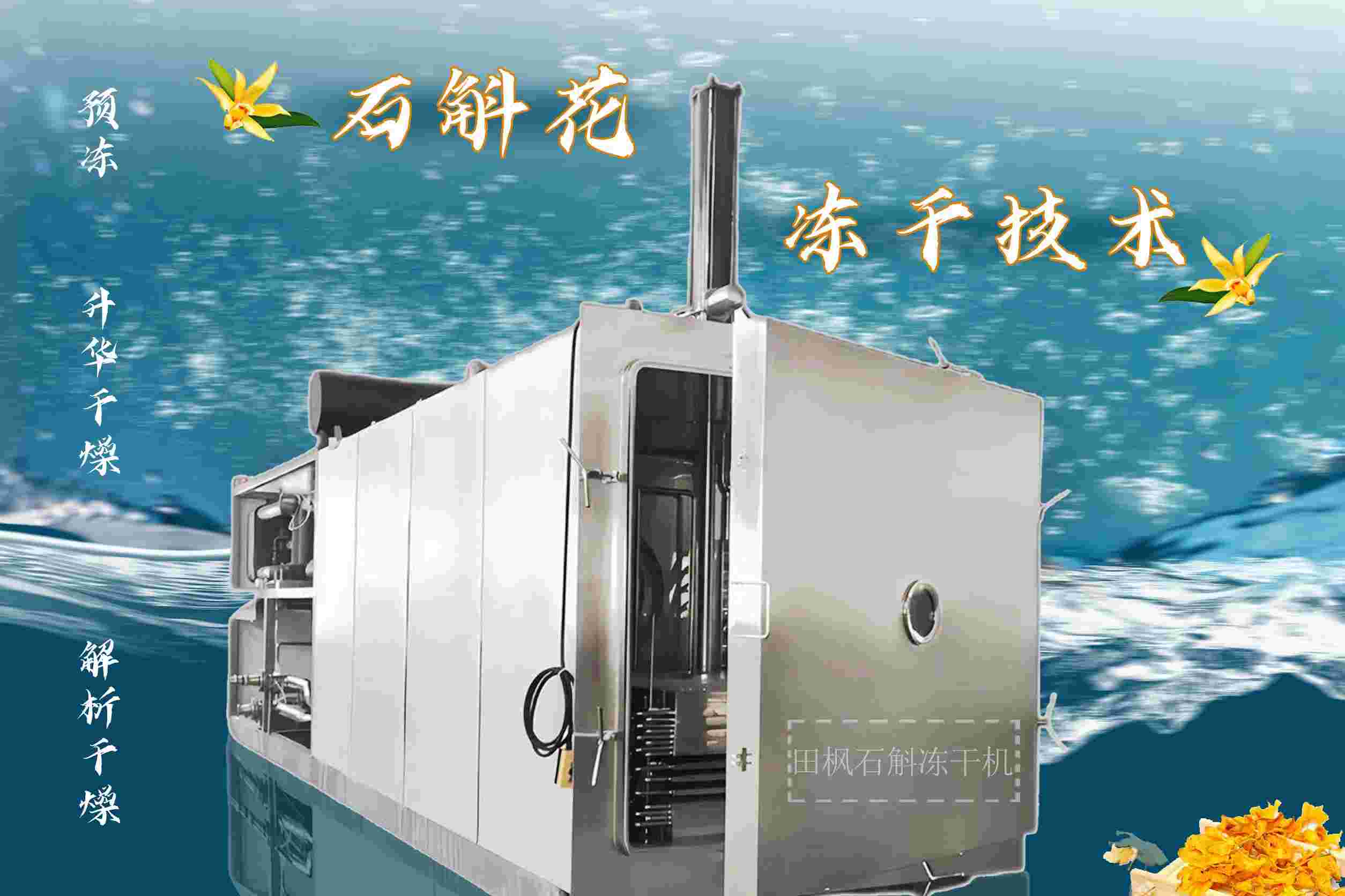 17266238836519.jpg 17266238836519.jpg