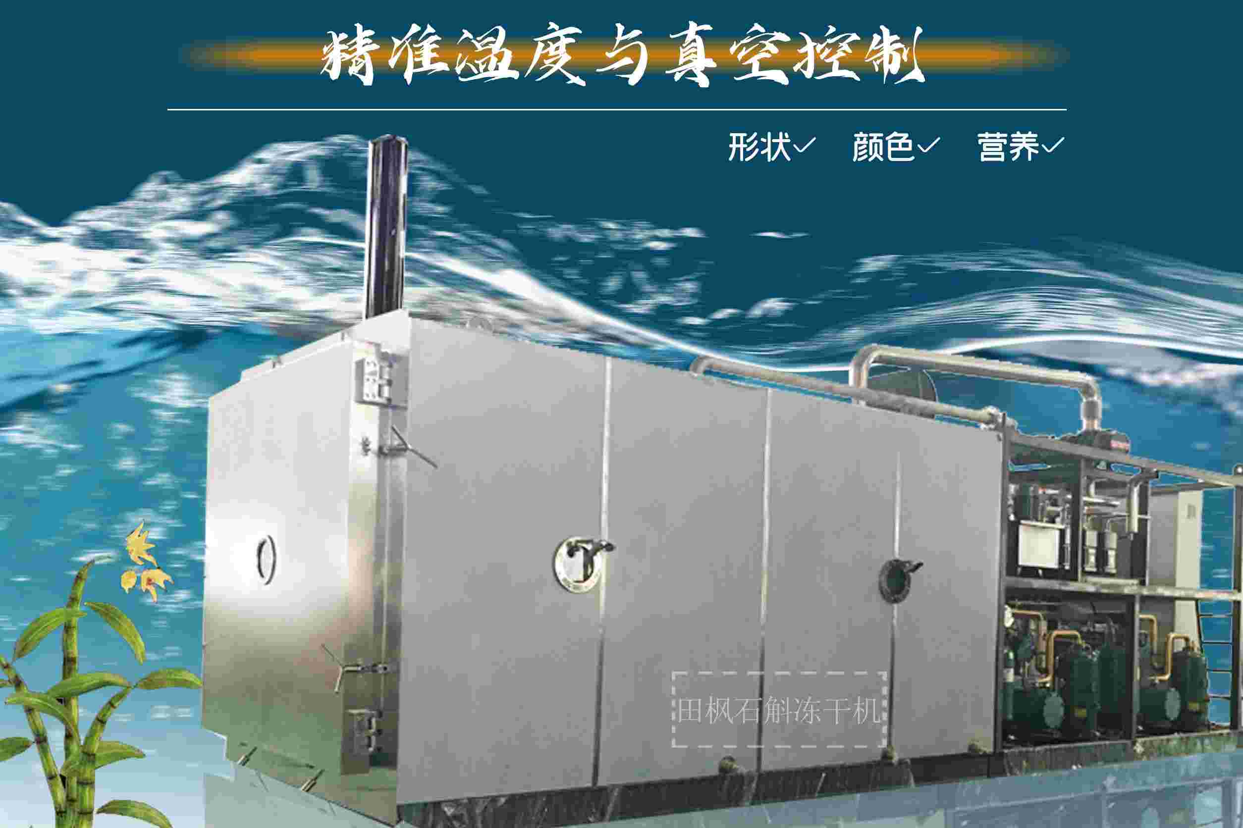 17266238914228.jpg 17266238914228.jpg