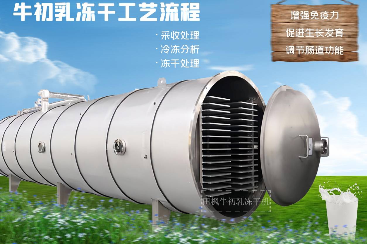 17288658758179.jpg 17288658758179.jpg