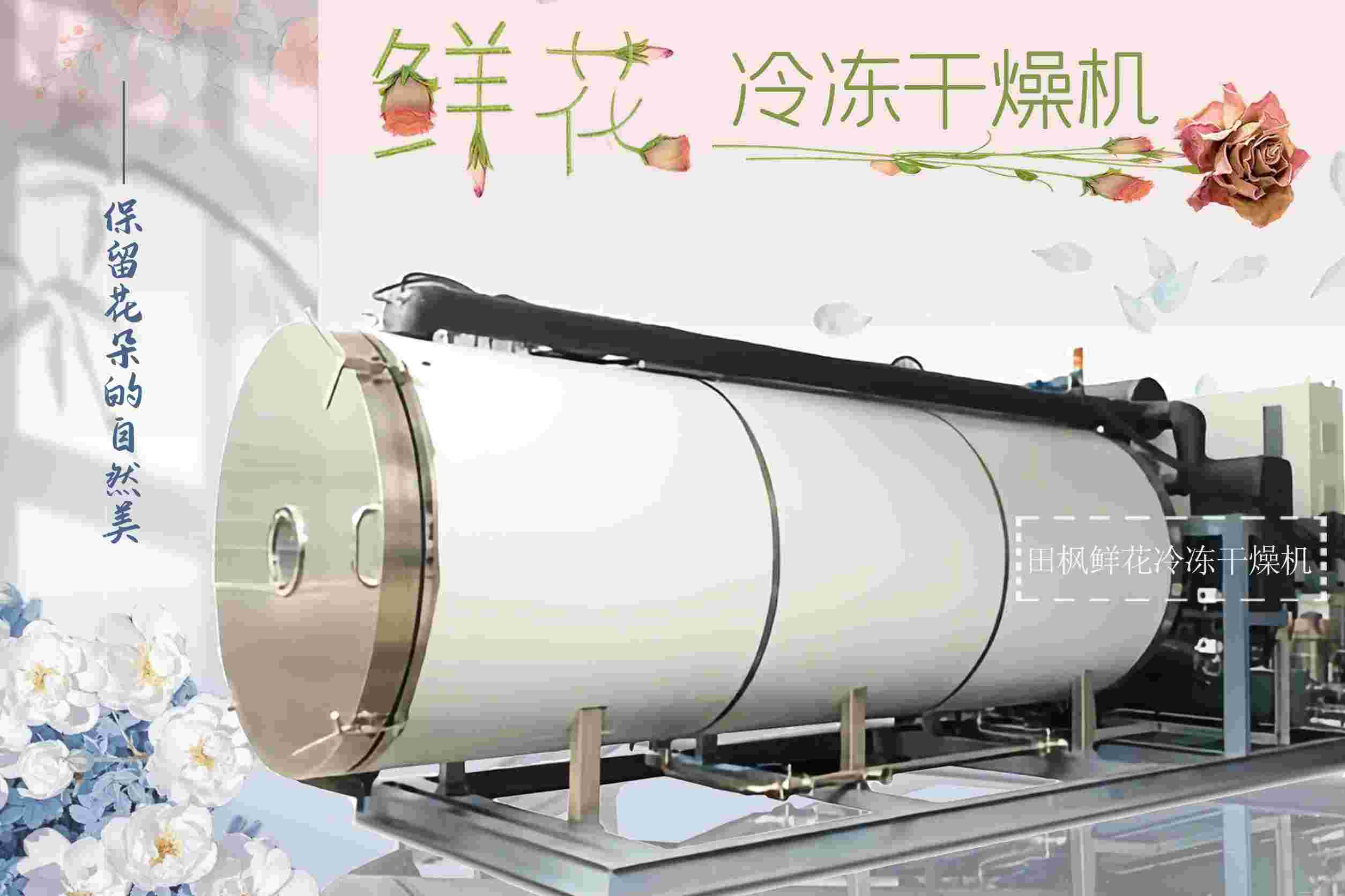 17290399848232.jpg 17290399848232.jpg