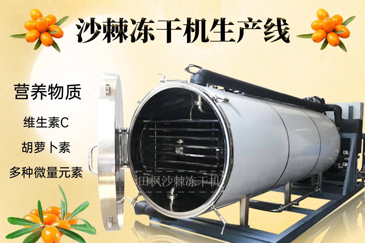 17325849127606.jpg 17325849127606.jpg